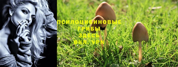 герыч Алексин