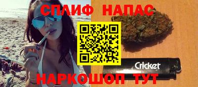 прущие грибы Анжеро-Судженск