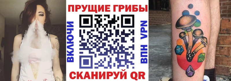 магазин продажи наркотиков  Белгород  Псилоцибиновые грибы ЛСД 