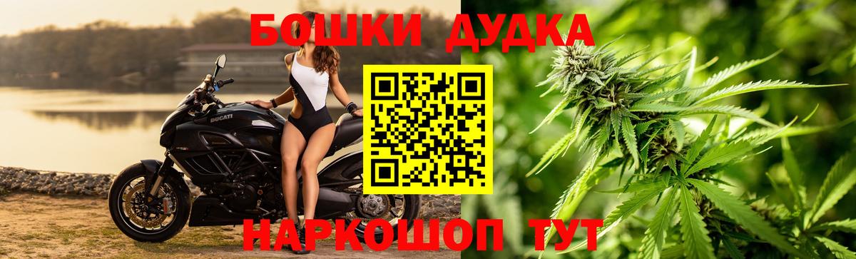 Бошки марихуана ГИДРОПОН  Каннабис сатива  Белгород  МАРИХУАНА White Widow  Вход с VPN 
